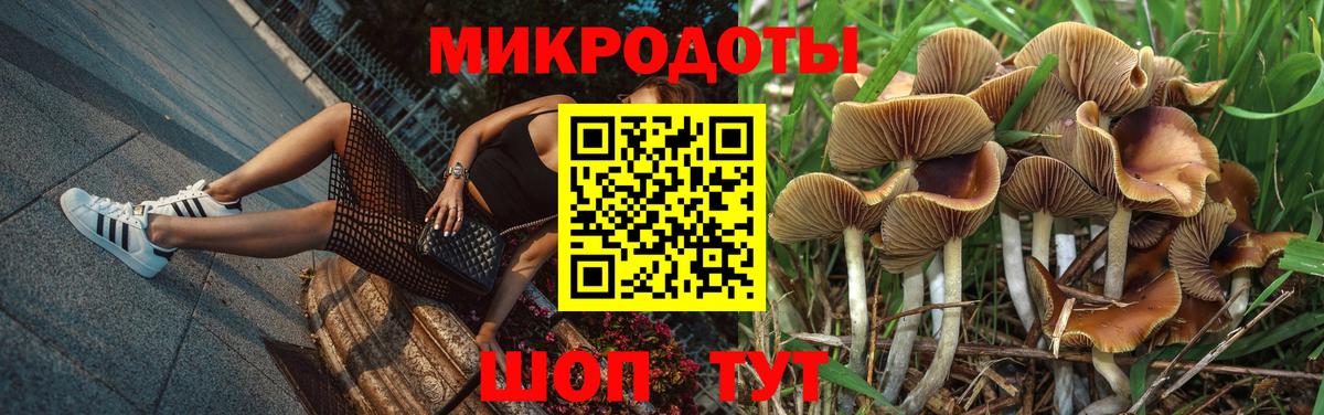 как найти   Галлюциногенные грибы MAGIC MUSHROOMS  Вход с VPN  Славгород  Псилоцибиновые грибы GOLDEN TEACHER 