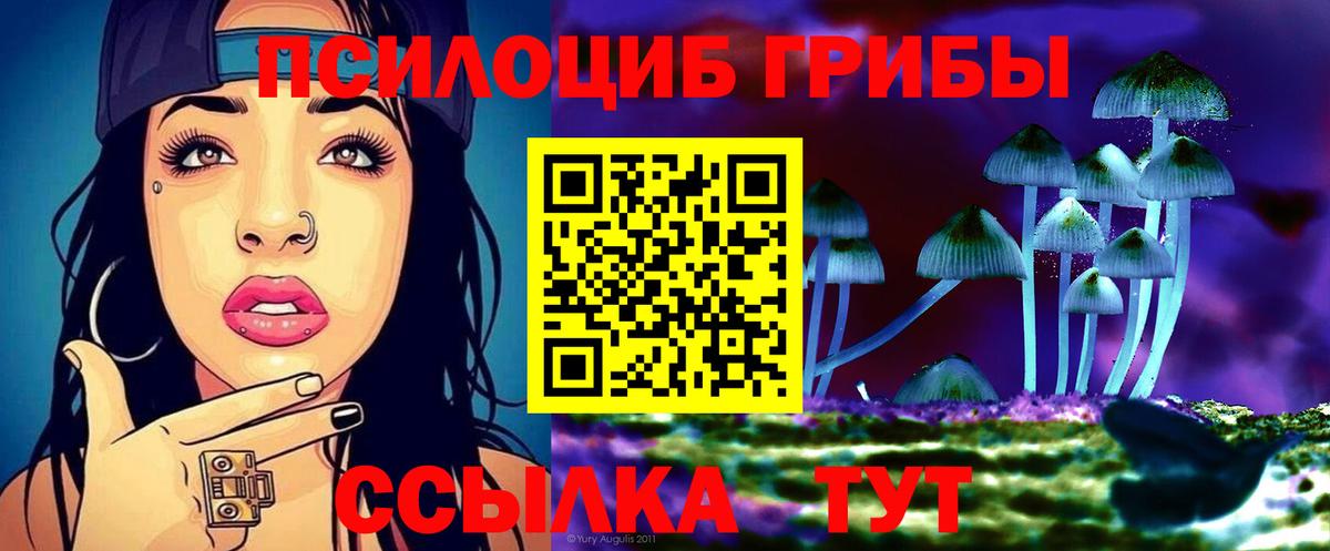 Галлюциногенные грибы GOLDEN TEACHER Славгород